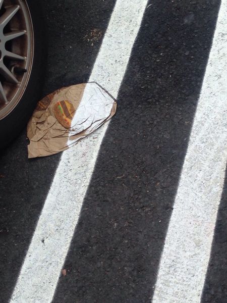 morning picdump 52 pics 9.html - 52 HD Photos | Premium Gallery 2015