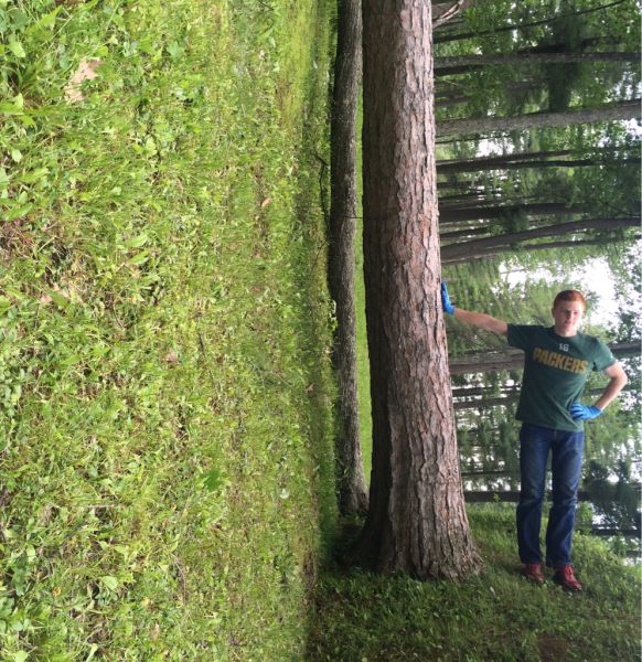 morning picdump 52 pics 9.html - 52 HD Photos | Premium Gallery 2015