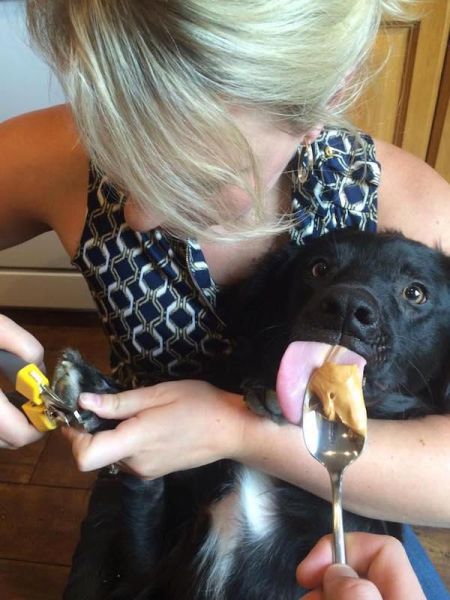 daily picdump 107 pics 41.html - 107 HD Photos | Premium Gallery 2015