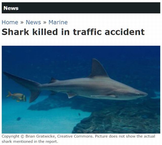 daily picdump 107 pics 41.html - 107 HD Photos | Premium Gallery 2015