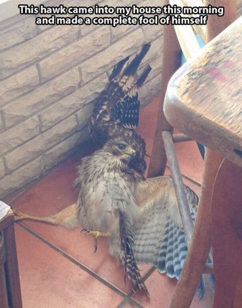 daily picdump 107 pics 41.html - 107 HD Photos | Premium Gallery 2015