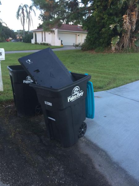 morning picdump 55 pics 17.html - 55 HD Photos | Premium Gallery 2015