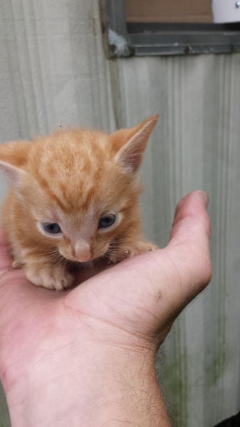 morning picdump 55 pics 17.html - 55 HD Photos | Premium Gallery 2015