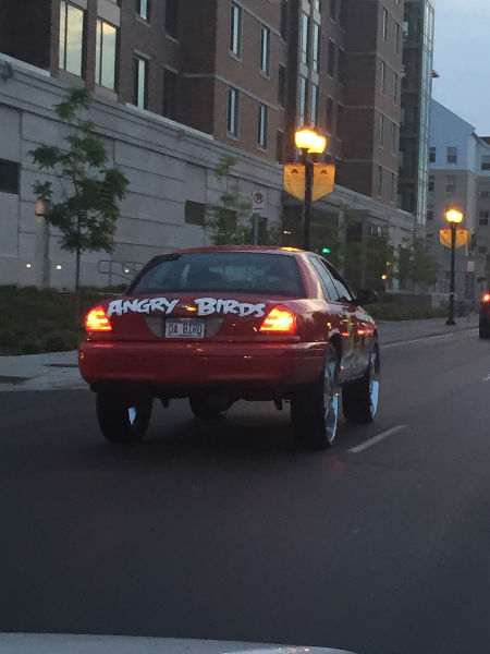 morning picdump 55 pics 24.html - 55 HD Photos | Premium Gallery 2015