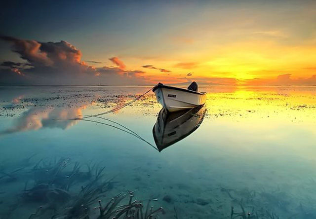 morning picdump 55 pics 24.html - 55 HD Photos | Premium Gallery 2015