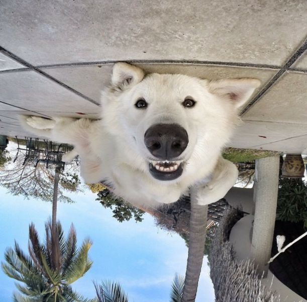 morning picdump 55 pics 24.html - 55 HD Photos | Premium Gallery 2015