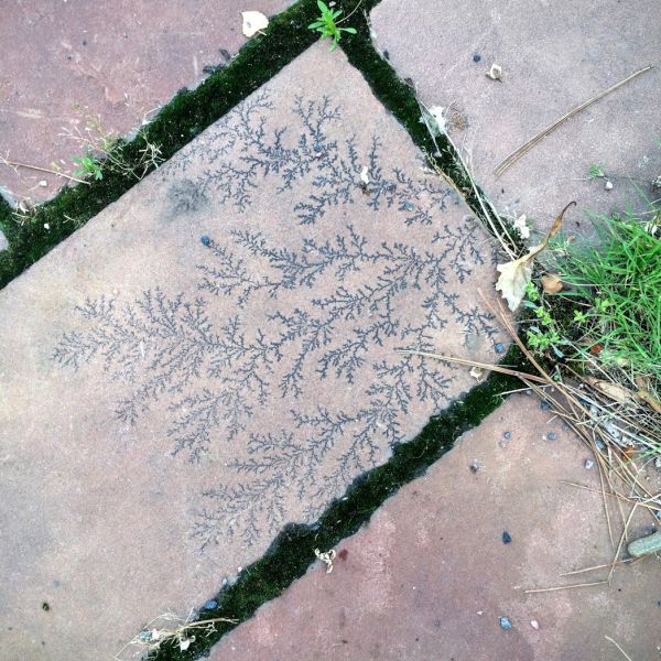 morning picdump 55 pics 24.html - 55 HD Photos | Premium Gallery 2015