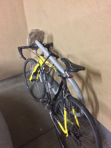 morning picdump 55 pics 24.html - 55 HD Photos | Premium Gallery 2015