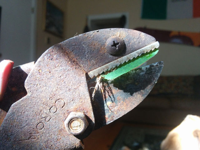 morning picdump 55 pics 24.html - 55 HD Photos | Premium Gallery 2015