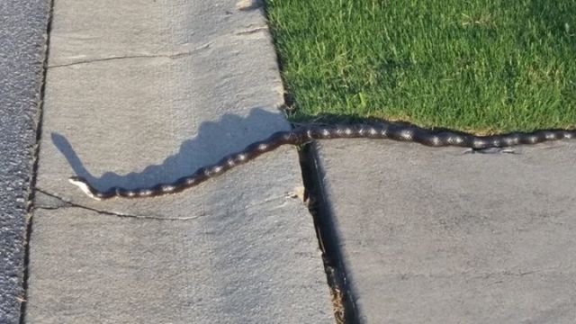 morning picdump 55 pics 24.html - 55 HD Photos | Premium Gallery 2015