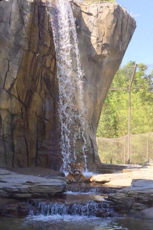 morning picdump 54 pics 25.html - 54 HD Photos | Premium Gallery 2015