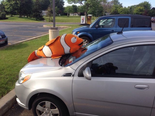 morning picdump 54 pics 25.html - 54 HD Photos | Premium Gallery 2015