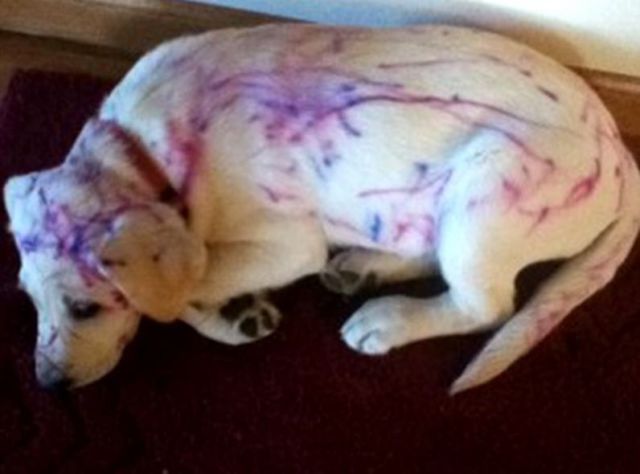 The Everyday Joys of Parenting