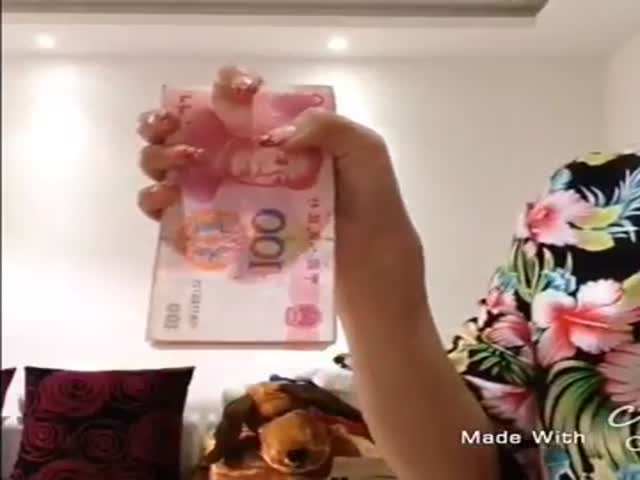 page,31,top 500 videos of the year 2015.html - 1 HD Video | Premium Gallery 2015