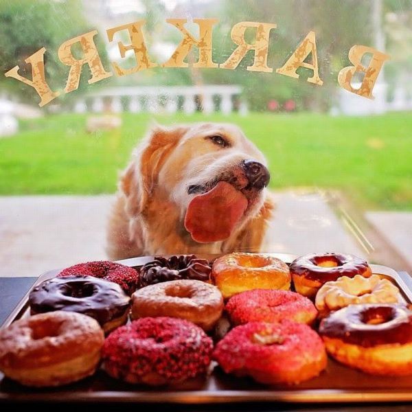 page,50,top 1500 daily pics of the year 2015.html - 1 HD Photos | Premium Gallery 2015