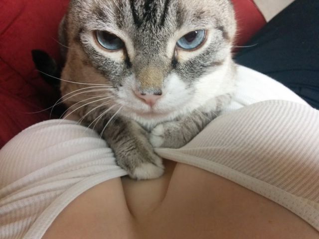 grownup corner 64 pics 11 gifs 20.html - 64 HD GIF | Premium Gallery 2015