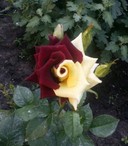 page,18,top 1500 daily pics of the year 2015.html - 1 HD Photos | Premium Gallery 2015