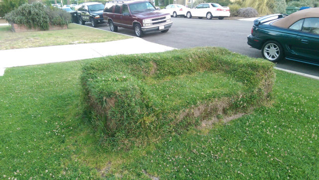 morning picdump 54 pics 2.html - 54 HD Photos | Premium Gallery 2015