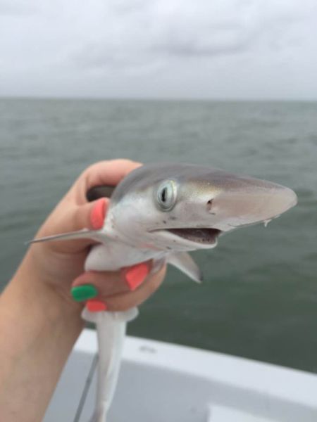 morning picdump 54 pics 2.html - 54 HD Photos | Premium Gallery 2015