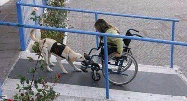 page,50,top 1500 daily pics of the year 2015.html - 1 HD Photos | Premium Gallery 2015