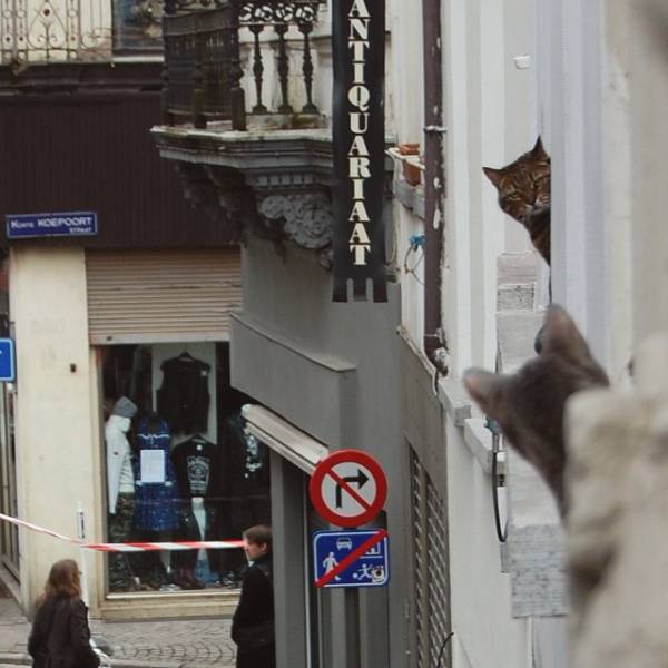 morning picdump 52 pics 6.html - 52 HD Photos | Premium Gallery 2015