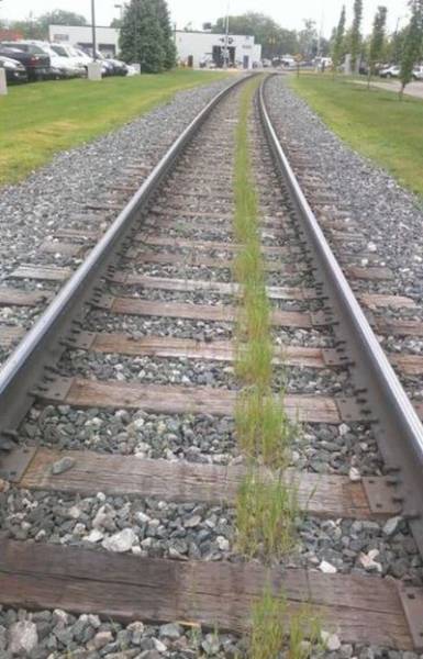 morning picdump 52 pics 6.html - 52 HD Photos | Premium Gallery 2015