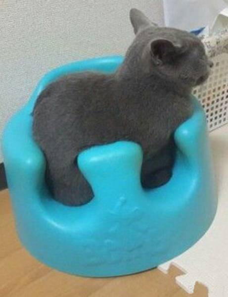 morning picdump 52 pics 12.html - 52 HD Photos | Premium Gallery 2015