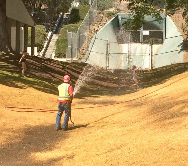 morning picdump 54 pics 17.html - 54 HD Photos | Premium Gallery 2015