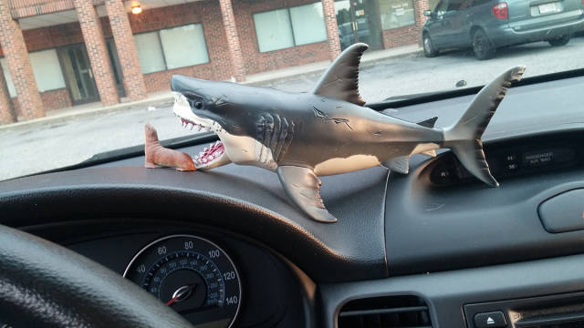 morning picdump 54 pics 17.html - 54 HD Photos | Premium Gallery 2015