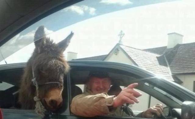 morning picdump 54 pics 17.html - 54 HD Photos | Premium Gallery 2015