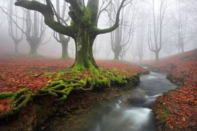 morning picdump 54 pics 17.html - 54 HD Photos | Premium Gallery 2015