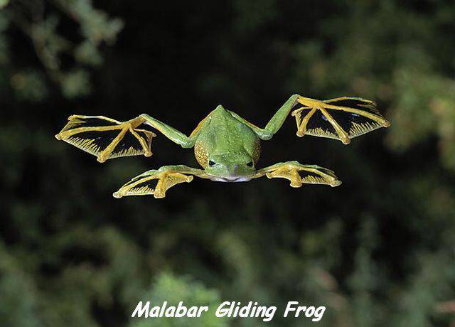 page,50,top 1500 daily pics of the year 2015.html - 1 HD Photos | Premium Gallery 2015