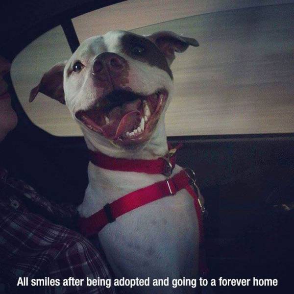 page,50,top 1500 daily pics of the year 2015.html - 1 HD Photos | Premium Gallery 2015