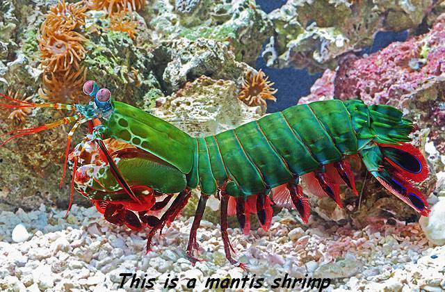 page,51,top 1500 daily pics of the year 2015.html - 1 HD Photos | Premium Gallery 2015