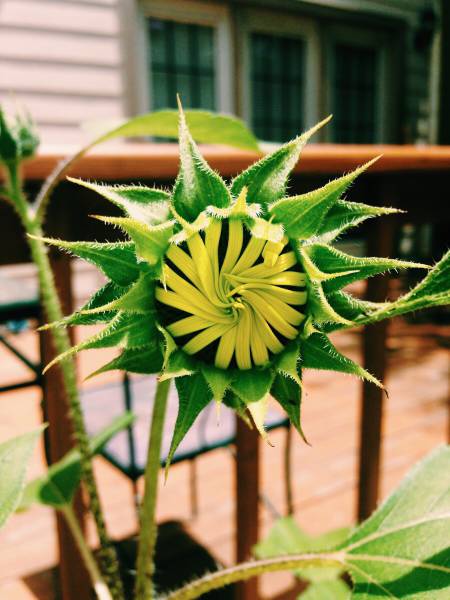 morning picdump 54 pics 5.html - 54 HD Photos | Premium Gallery 2015