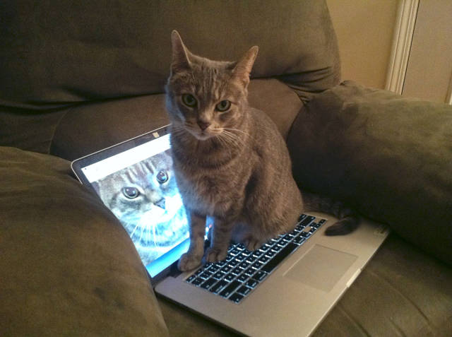 morning picdump 54 pics 5.html - 54 HD Photos | Premium Gallery 2015