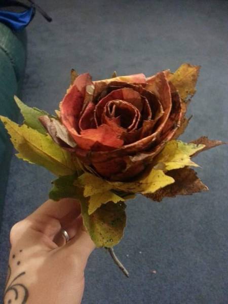 morning picdump 54 pics 5.html - 54 HD Photos | Premium Gallery 2015