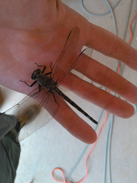 morning picdump 54 pics 2.html - 54 HD Photos | Premium Gallery 2015