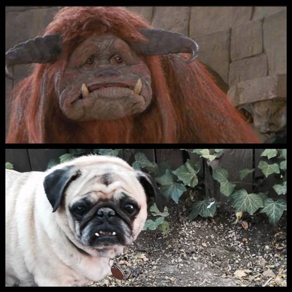 morning picdump 54 pics 2.html - 54 HD Photos | Premium Gallery 2015