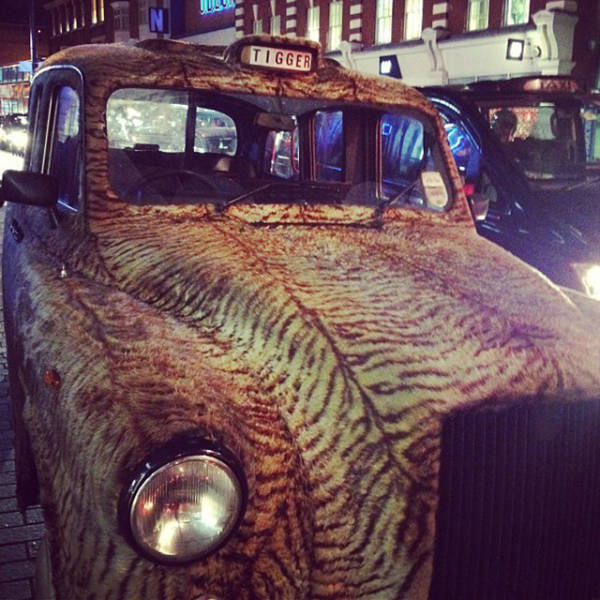 morning picdump 54 pics 2.html - 54 HD Photos | Premium Gallery 2015