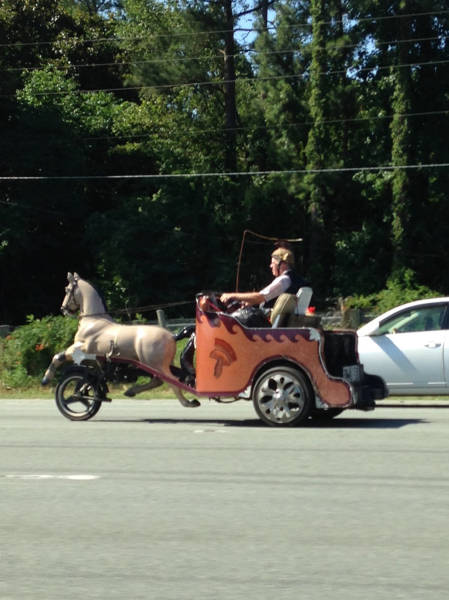 morning picdump 54 pics 2.html - 54 HD Photos | Premium Gallery 2015