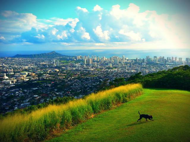 morning picdump 54 pics 2.html - 54 HD Photos | Premium Gallery 2015