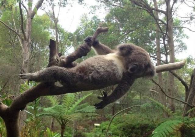 morning picdump 54 pics 2.html - 54 HD Photos | Premium Gallery 2015