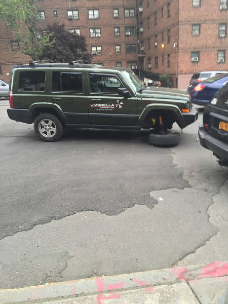 morning picdump 54 pics 2.html - 54 HD Photos | Premium Gallery 2015