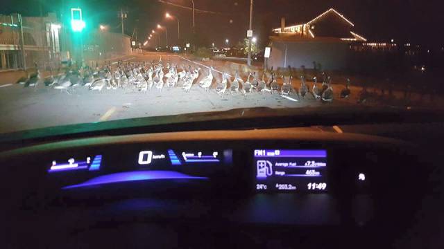 morning picdump 54 pics 2.html - 54 HD Photos | Premium Gallery 2015