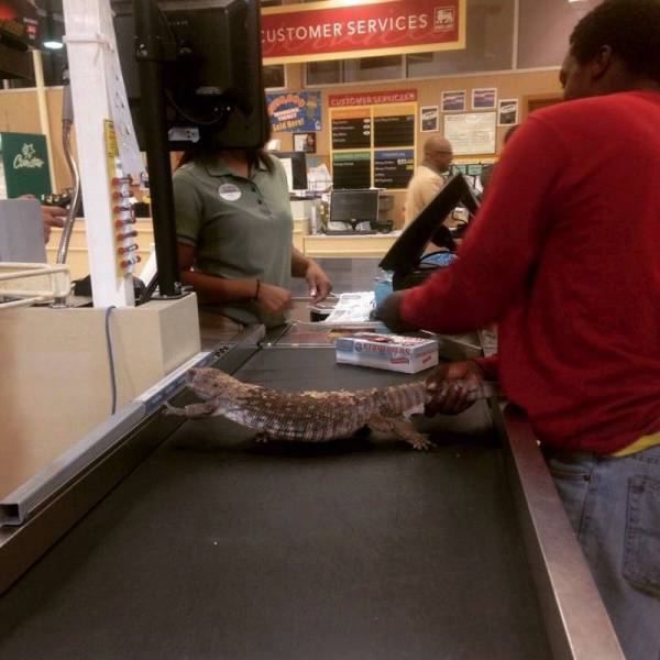 daily picdump 100 pics 71.html - 100 HD Photos | Premium Gallery 2015