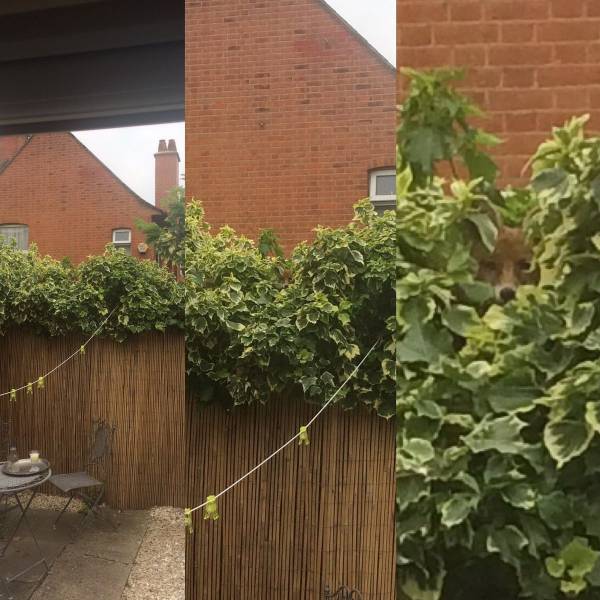 daily picdump 100 pics 71.html - 100 HD Photos | Premium Gallery 2015