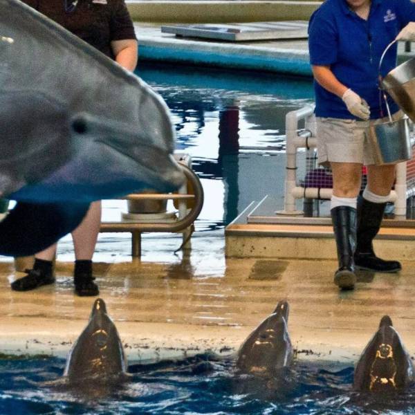 daily picdump 100 pics 71.html - 100 HD Photos | Premium Gallery 2015