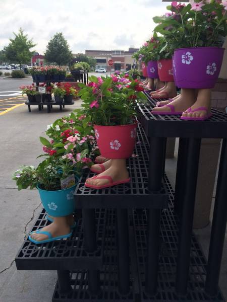 daily picdump 100 pics 71.html - 100 HD Photos | Premium Gallery 2015