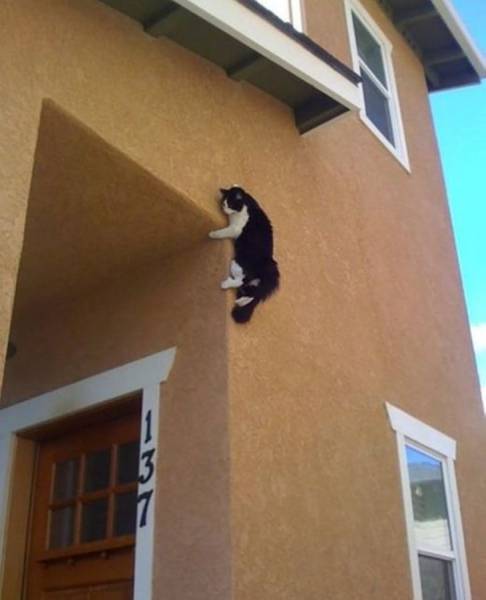 daily picdump 100 pics 71.html - 100 HD Photos | Premium Gallery 2015